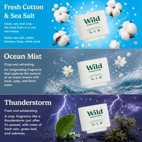 Wild Aluminum Free Natural Deodorant Starter Kit - Refillable Black Case - Natural Ingredients & 24 Hour Odor Protection - Women & Men's - Fresh Clean Scents Variety Pack - Case + 3 Refills